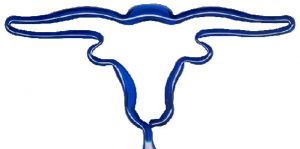 Longhorn Steer Pen